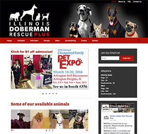 illinois doberman rescue plus